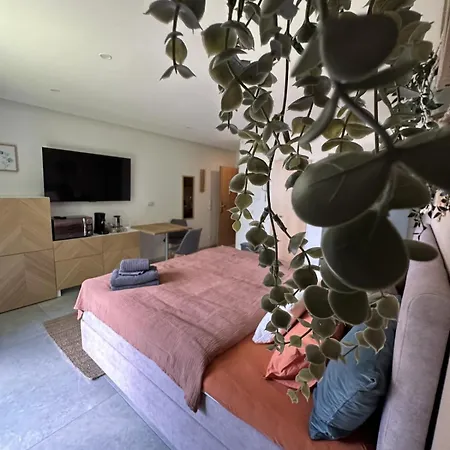 Apartment 204 Dersert Rose Koblenz (Rhineland-Palatinate)